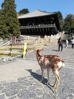 IMG_20210315_135730.jpg
